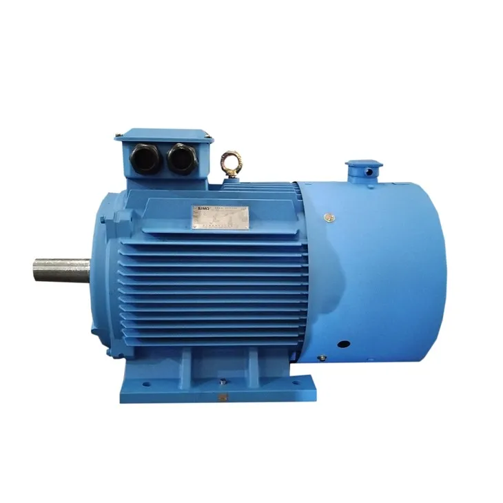 PMAC elektros variklis